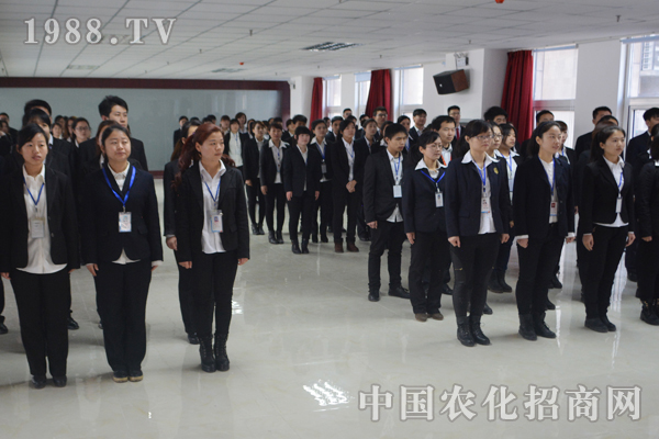 什么樣的團(tuán)隊才能夠所向披靡?